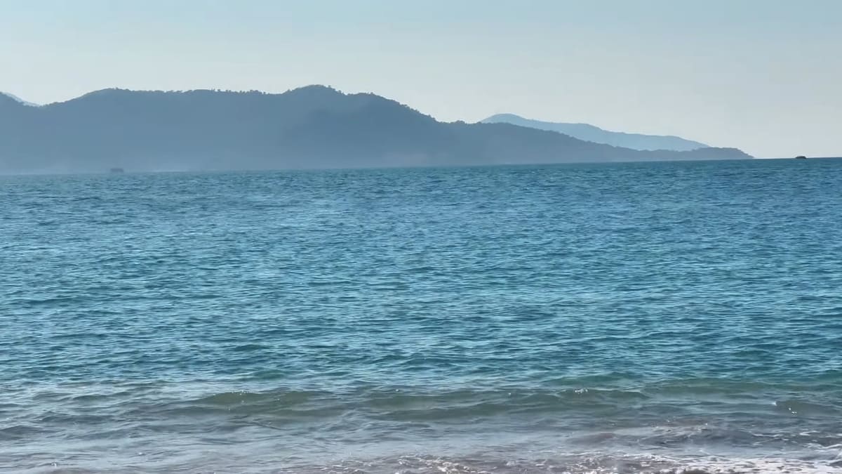 Água levemente aquecida atrai peixes e melhora a experiência de mergulho - Reprodução/YouTube