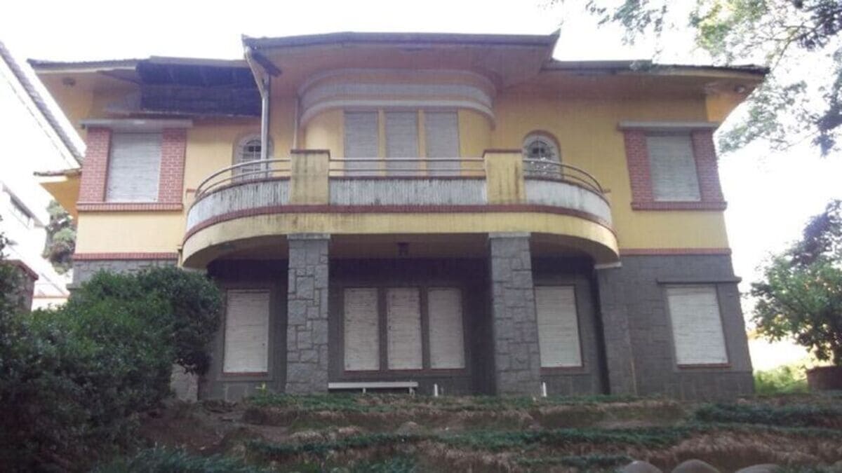 Cenário impressionante em Porto Alegre chama atenção pela beleza natural e pela harmonia entre árvores centenárias e o espaço urbano