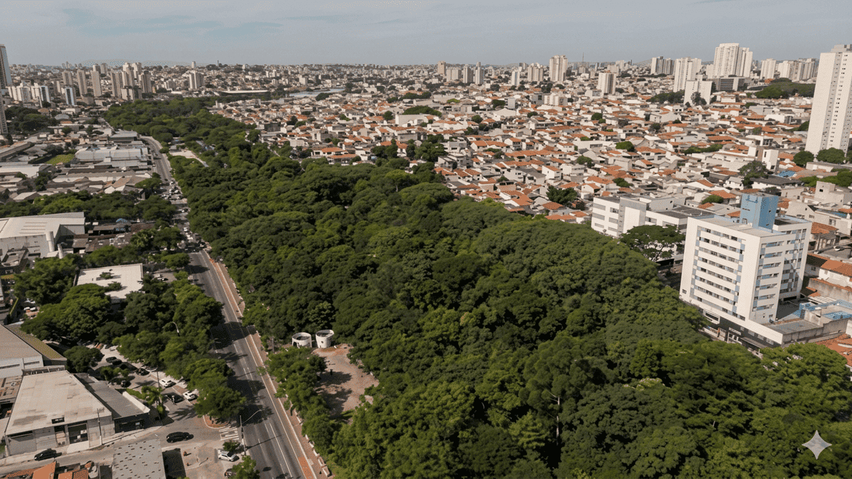 Corredor verde ajuda a reduzir o calor e melhora a qualidade de vida Reprodução/YouTube