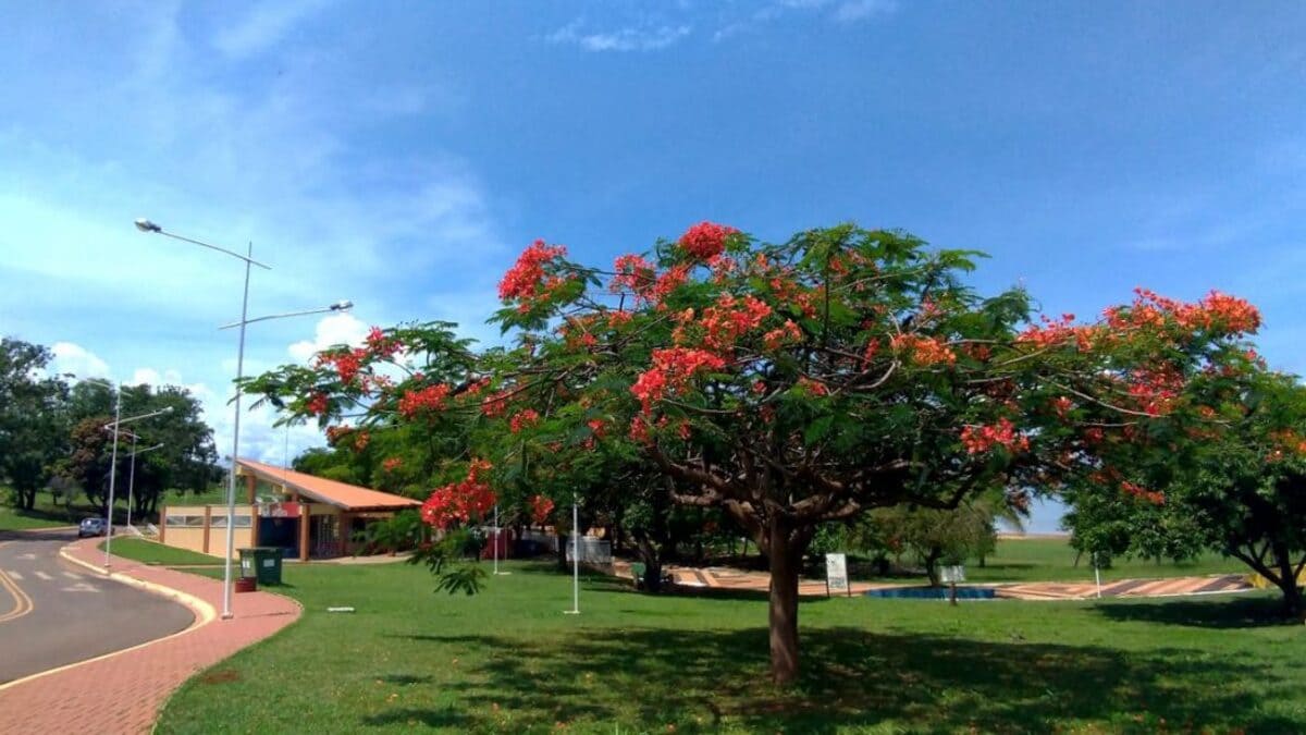 Projeto urbano inovador nasceu junto com a construção da usina - Prefeitura Municipal de Ilha Solteira
