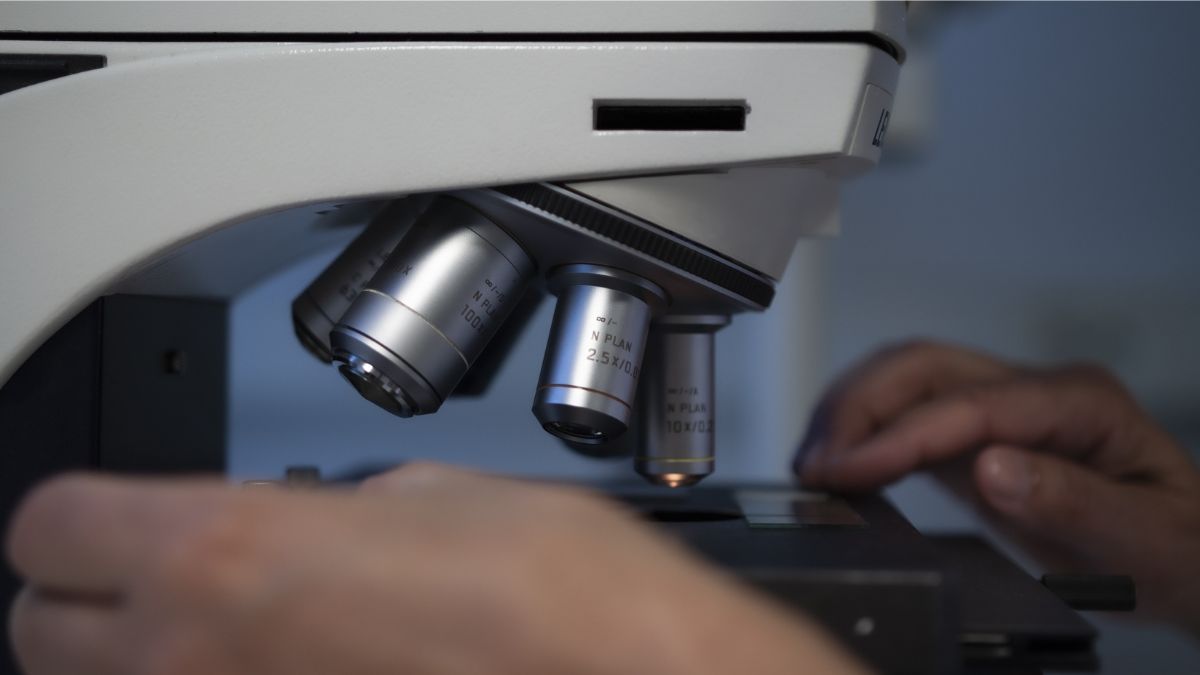 A análise microscópica permitiu identificar que o animal não apenas sobreviveu, mas também voltou a se alimentar e se reproduzir (Foto: Freepik)