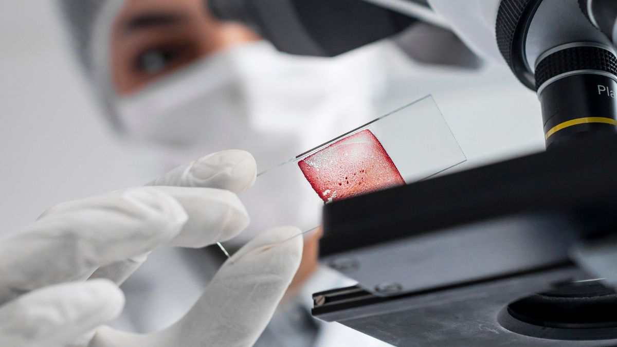 O trabalho em laboratório revelou um exemplo raro de sobrevivência animal após milhares de anos em dormência (Foto: Freepik)
