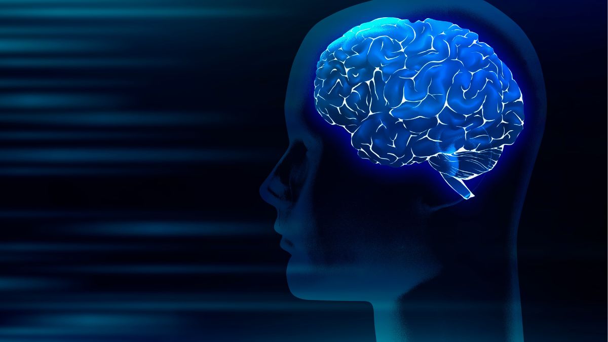 A neurociência busca formas menos invasivas de agir em áreas cerebrais ligadas à memória e ao aprendizado (Foto: Freepik)