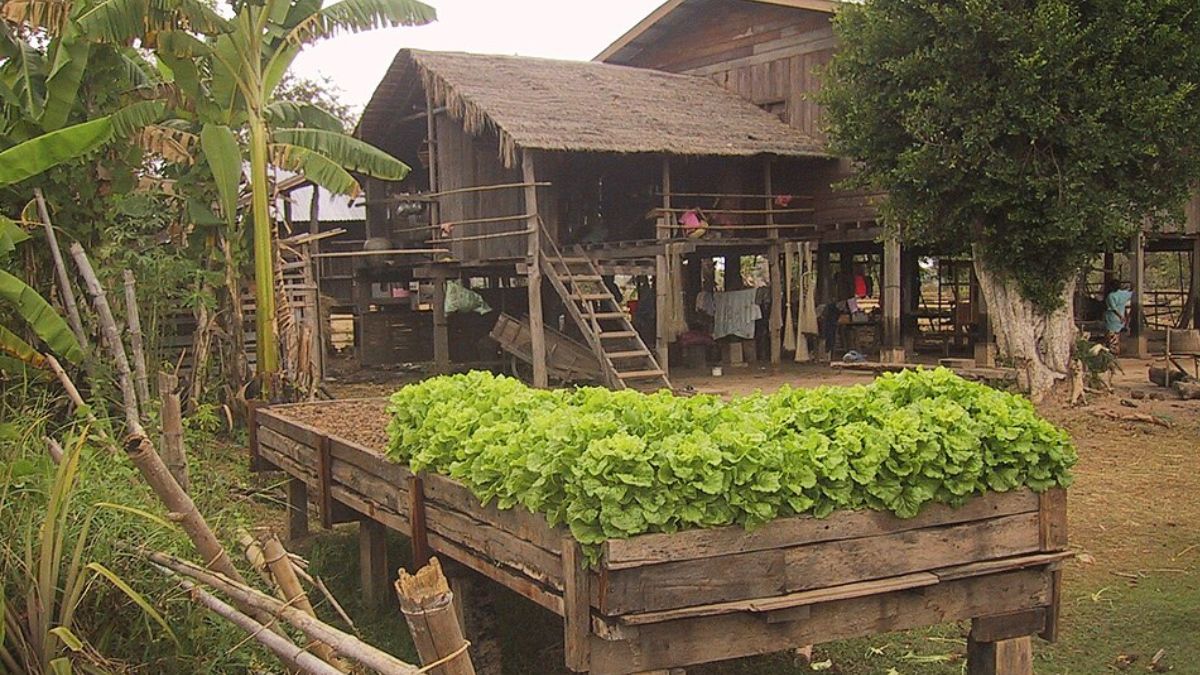 Dividir a horta em blocos facilita o manejo, melhora a circulação e ajuda a separar espécies com necessidades diferentes (Foto: Wikimedia Commons/Basile Morin)
