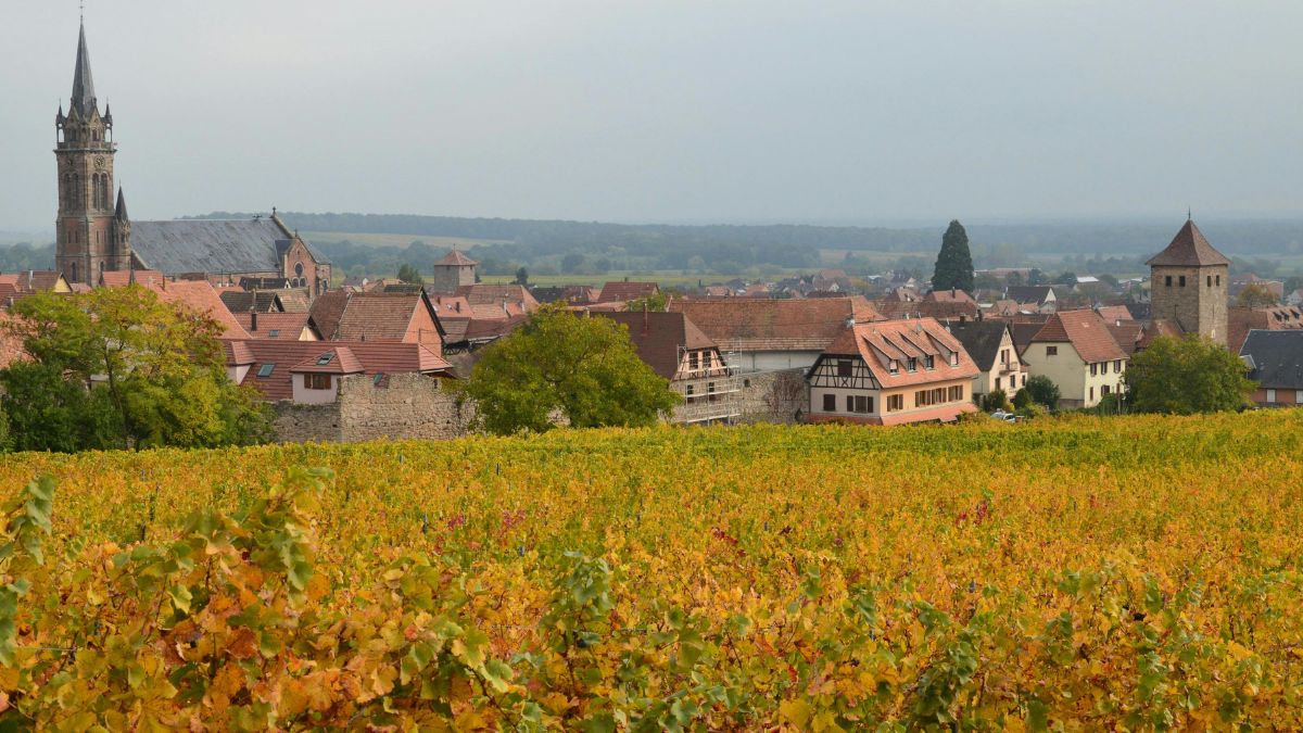 Pequenas localidades de Ponga preservam uma rotina rural que contrasta com o ritmo das grandes capitais europeias (Foto: Pexels)