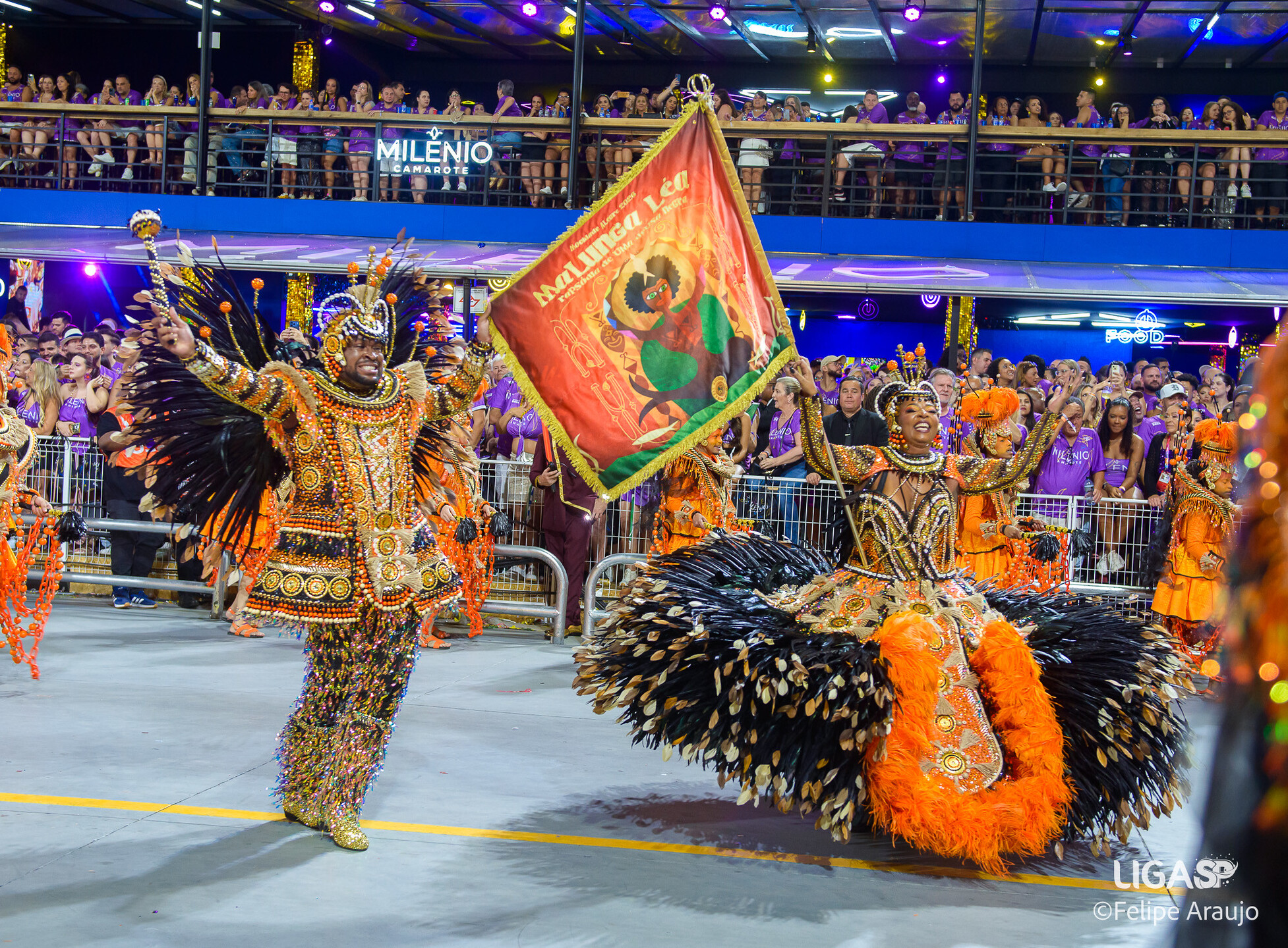 Neste ano, a Mocidade Alegre apresentou o enredo "Malunga Léa Rapsódia de uma Deusa Negra", em homenagem à atriz Léa Garcia. Fotos: Felipe Araújo/Liga-SP