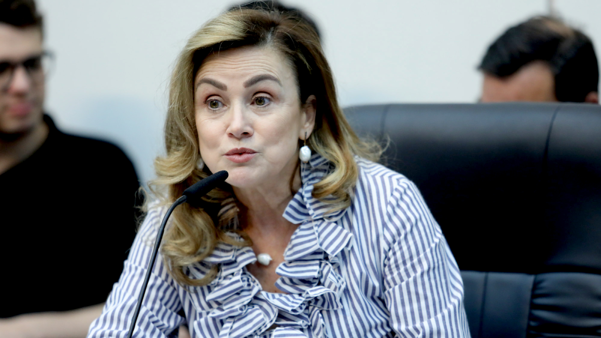 Analice Fernandes trocou o PSDB pelo PSD/Bruna Sampaio/Alesp