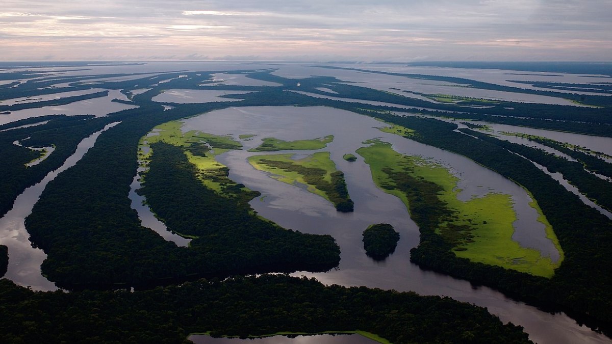 A base mais usada é Novo Airão, no Amazonas. Segundo a Amazonastur, o trajeto pode ser feito a partir de Manaus por via terrestre, seguindo pelas rodovias AM-070 e AM-352, ou por hidroavião, com pouso no rio Negro.. Foto: Wikimedia Commons
