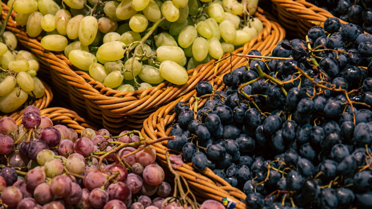 Nutrientes da fruta protegem os neurônios e podem reduzir riscos de doenças neurodegenerativas