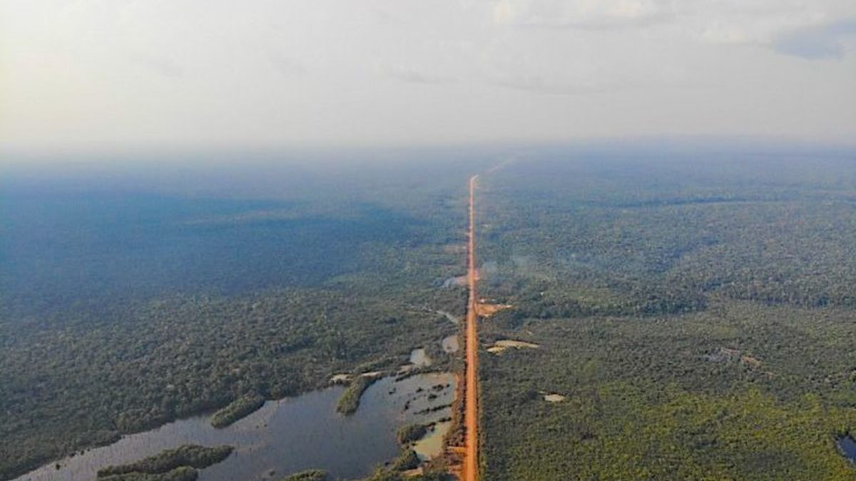 Obras da BR-319 avançam após alerta de impacto no abastecimento regional (Foto: Dnit)