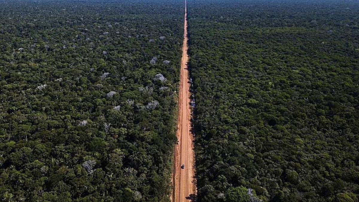 Justiça autoriza retomada da BR-319 e pressiona debate ambiental na Amazônia (Foto: Dnit)