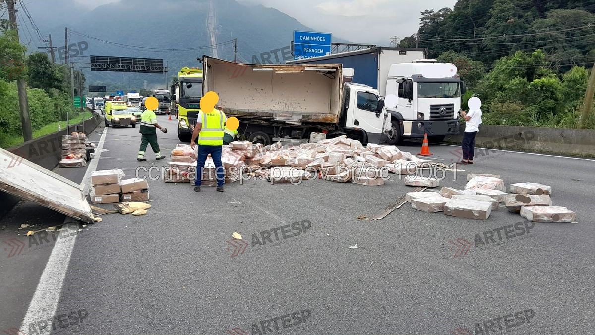 Por conta do tombamento, a carga de três toneladas de frango ficou espalhada pela pista - Divulgação/Artesp