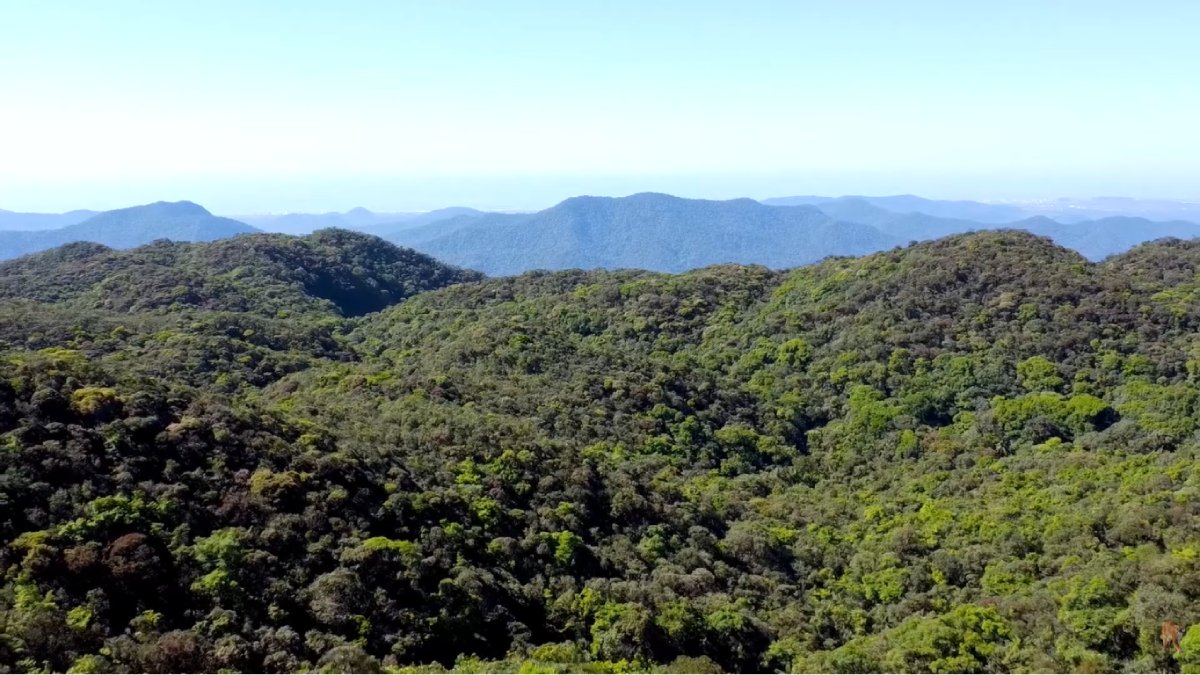 Parelheiros revela um lado pouco conhecido de São Paulo, com paisagens que lembram o interior