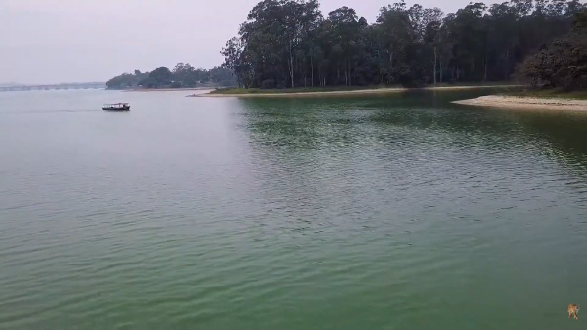 Comunidades indígenas Guarani vivem no território e preservam tradições dentro da capital