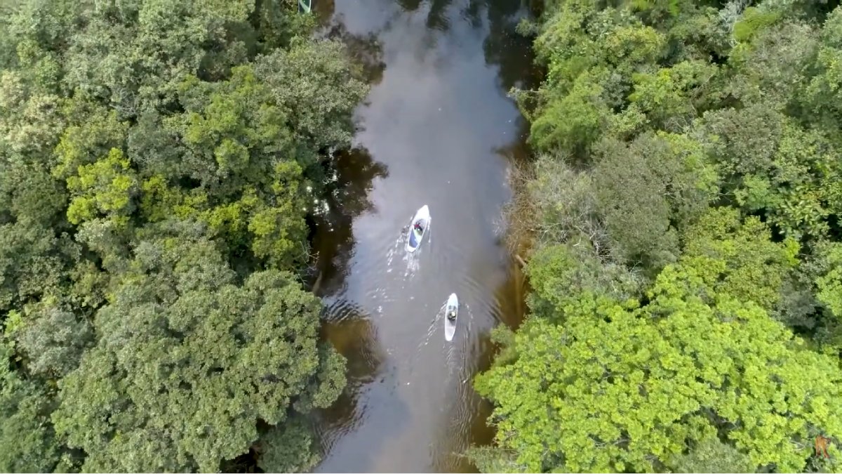 Parelheiros mostra que São Paulo também abriga natureza, silêncio e experiências inesperadas (Foto: Reprodução/Youtube)