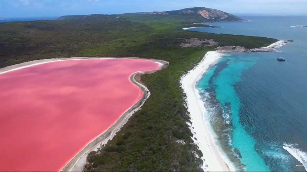 Coloração rosa acontece por conta da ação de microalgas 