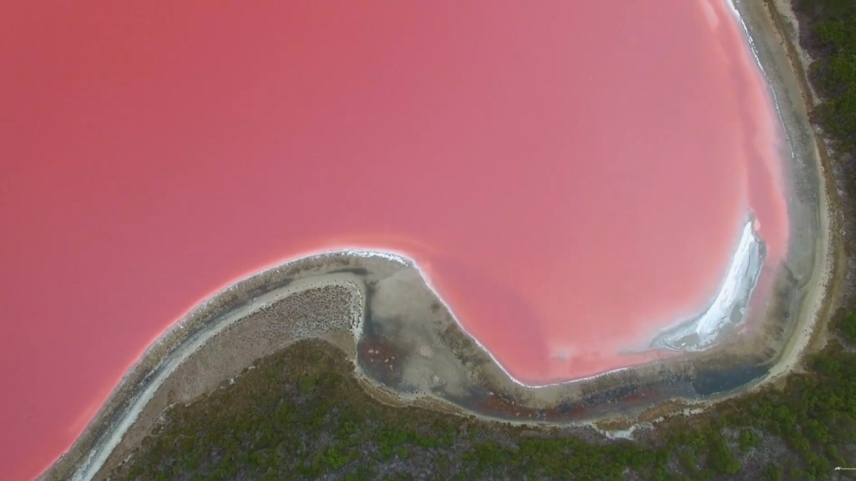 O Lago Hillier, na Austrália, impressiona pela cor rosa intensa que não desaparece nem fora da água
