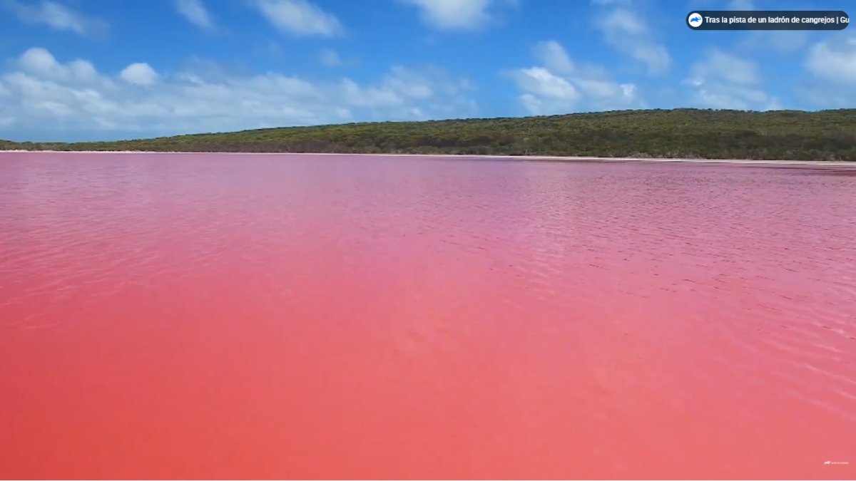 O turismo é proibido na região; só é possível ver o lago em aviões ou cruzeiros