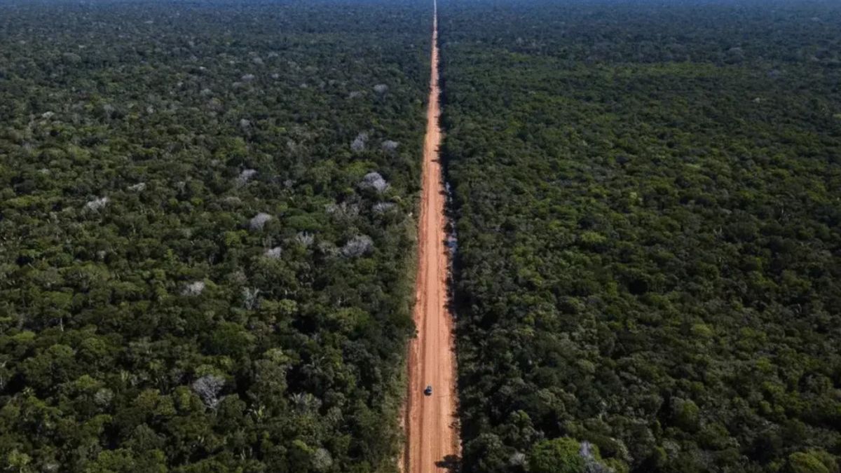 A imensidão verde que cerca a rodovia é o centro da queda de braço judicial entre o governo e entidades ambientais, que questionam a validade das licenças atuais. Divulgação/DNIT