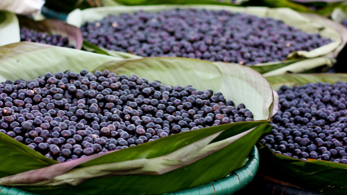 Belém conquista destaque global ao entrar na lista da Lonely Planet com uma gastronomia descrita como "uma explosão de história, ciência e arte" (Foto: Camila Neves Rodrigues da Silva/Wikimedia Commons)