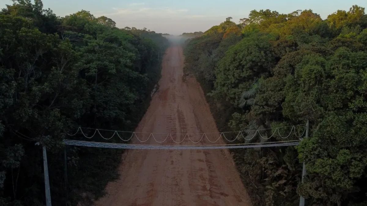 BR-319 corta a Amazônia e decisão da Justiça reacende debate entre logística e preservação (Foto: Dnit)