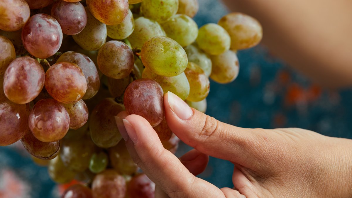 Os polifenóis das uvas combatem radicais livres e protegem o corpo contra o estresse oxidativo