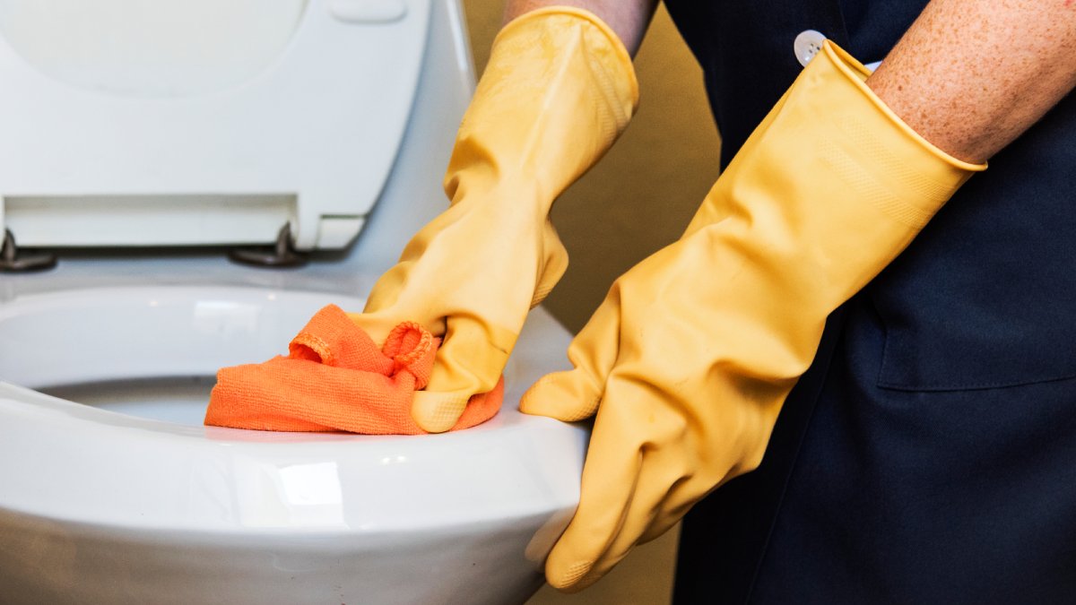 Use a escova sanitária para esfregar bem o interior antes de acionar a descarga e enxaguar