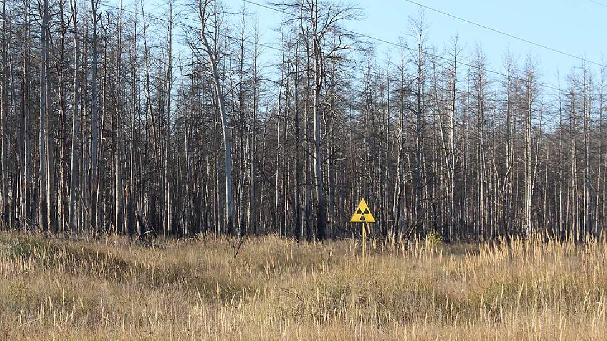 Após o acidente de 1986, parte da zona de exclusão de Chernobyl passou por renaturalização intensa e, em 2016, a Ucrânia criou a Reserva Radioecológica da Biosfera de Chornobyl, a RRCB, que cobre cerca de 2.273 km² e formaliza a proteção de uma das maiores áreas selvagens da Europa Oriental (Foto: ArticCynda / Wikimedia Commons)