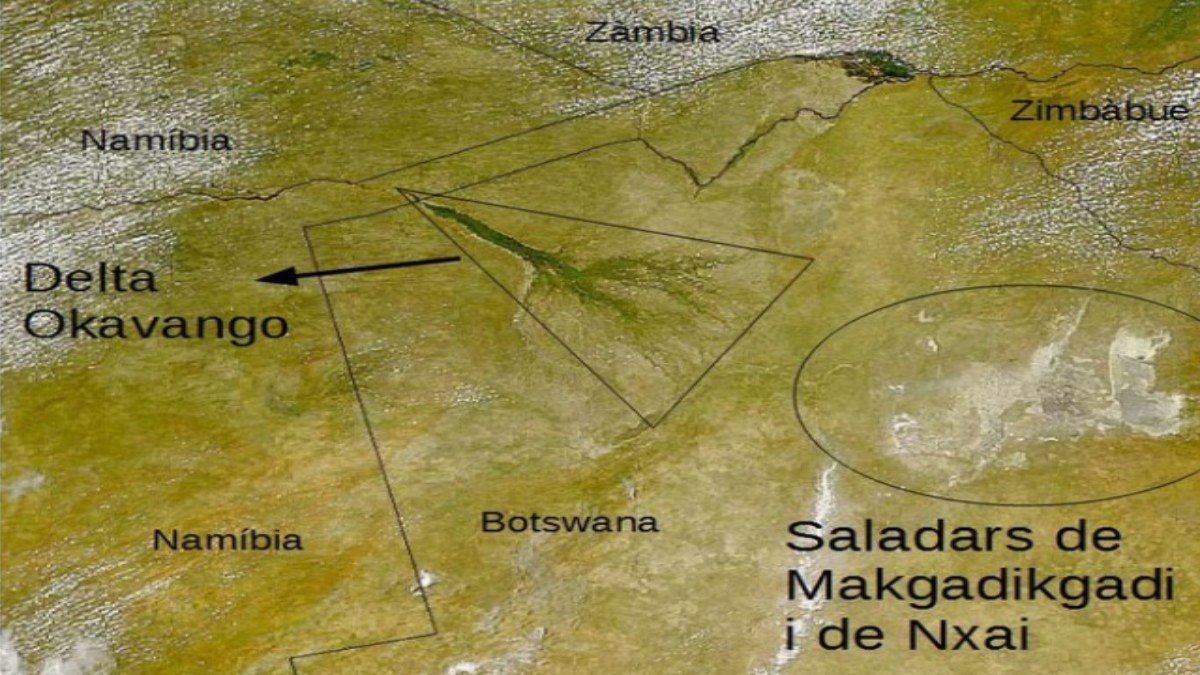 Conduzido por Chan et al., o estudo previa o ponto de origem no antigo sistema úmido MakgadikgadiOkavango, em Botsuana, com coordenadas em 20,75° S / 25,50° E (Foto: Castell / Wikimedia Commons)