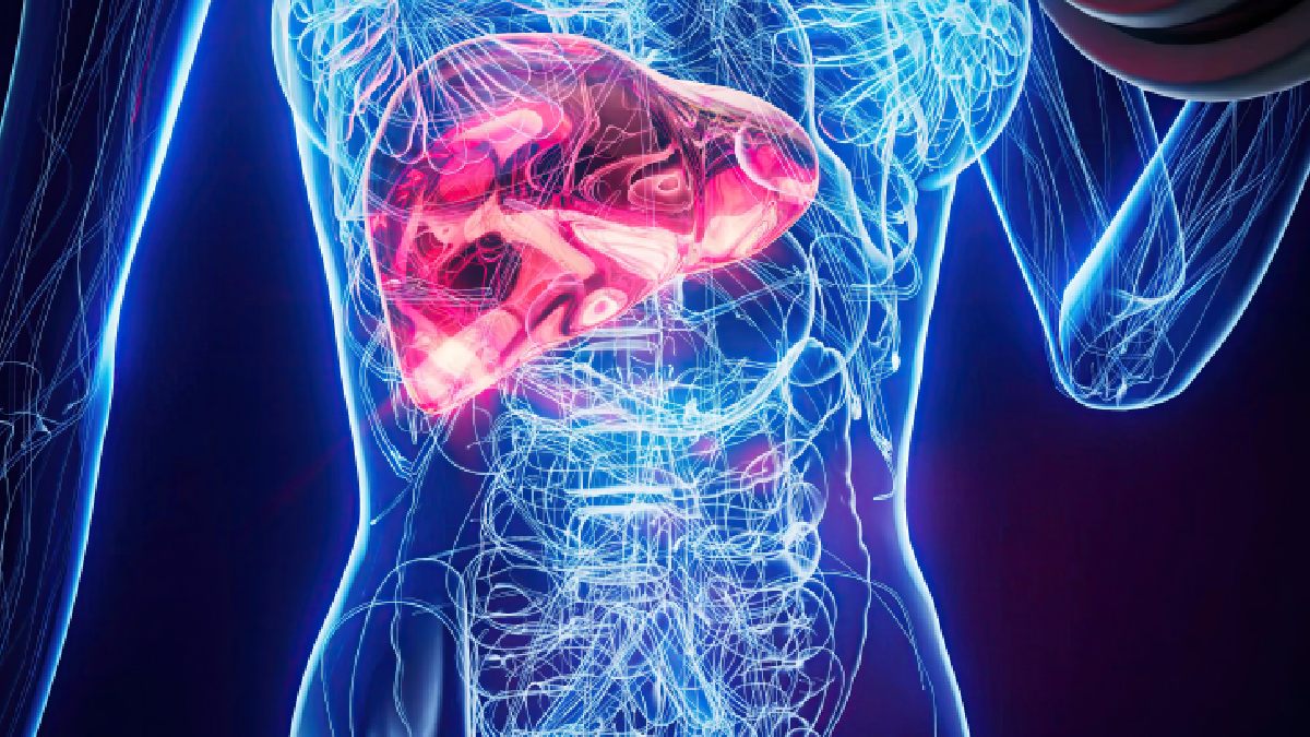 O fígado participa da primeira ativação da vitamina. Se está inflamado ou doente, essa conversão pode perder eficiência, o que ajuda a explicar resultados ruins mesmo sem uma queda óbvia na ingestão (Foto: Julos / Freepik)