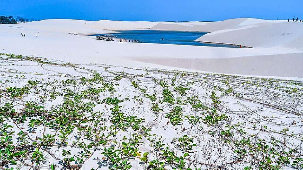 Também pesa o contexto ambiental. O parque está numa área de transição entre Cerrado, Caatinga e Amazônia, com restinga, manguezais, rios e praia (Foto: Ceiencarelli / Wikimedia Commons)