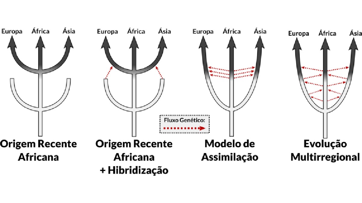 O infográfico reúne hipóteses clássicas e pan-africanas para explicar como o Homo sapiens moderno pode ter surgido (Foto: MarlonHJ / Wikimedia Commons)