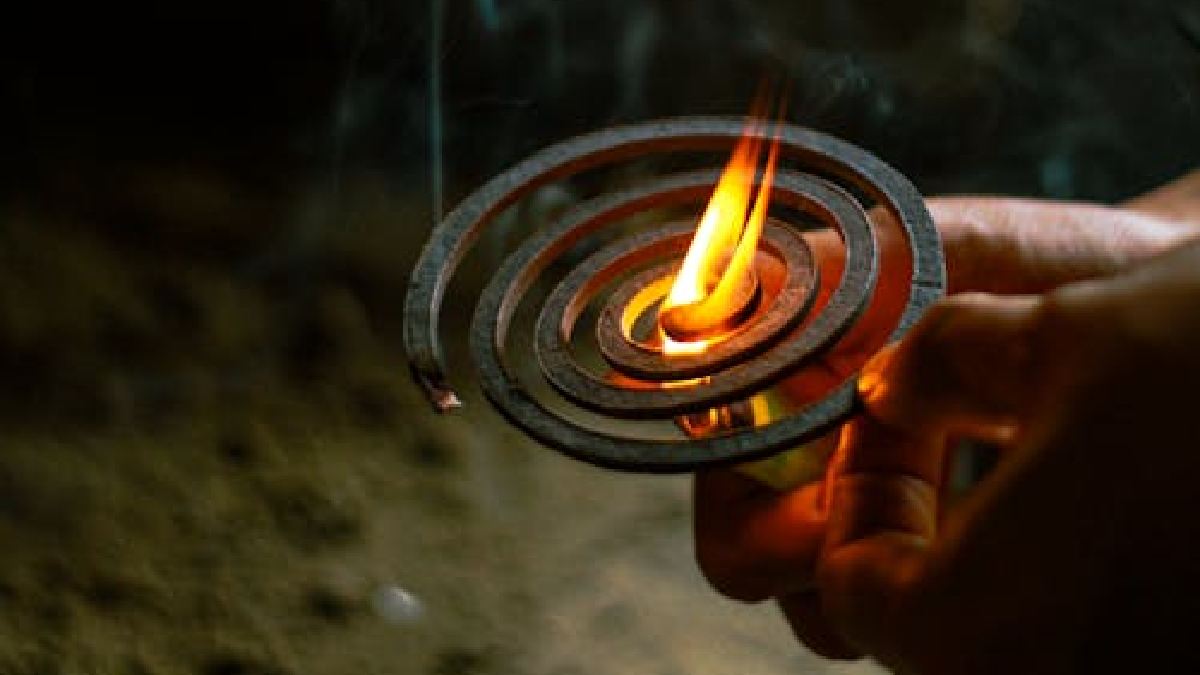 A principal concorrente dos incensos repelentes são as espirais repelentes, que possuem um funcionamento parecido (Foto: Tanha Tamanna Syed / Pexels)