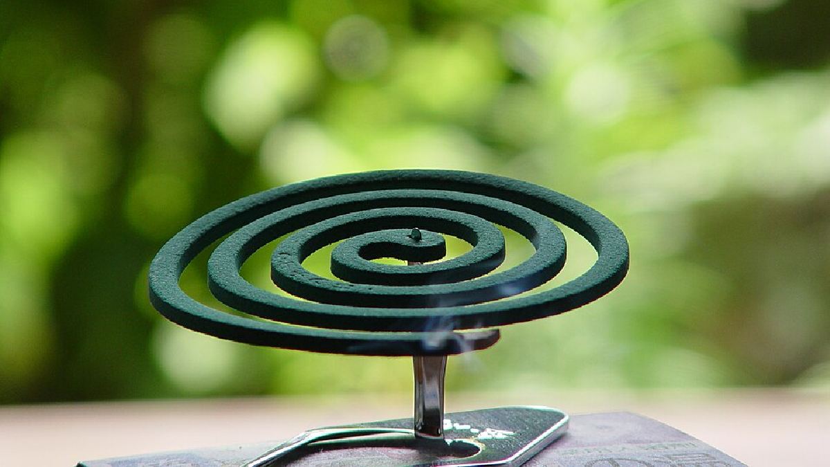 A espiral contra mosquitos foi desenvolvida no Japão e é conhecida como katori senkō, segundo a descrição da categoria no Wikimedia Commons (Foto: Ant1234567 / Wikimedia Commons)