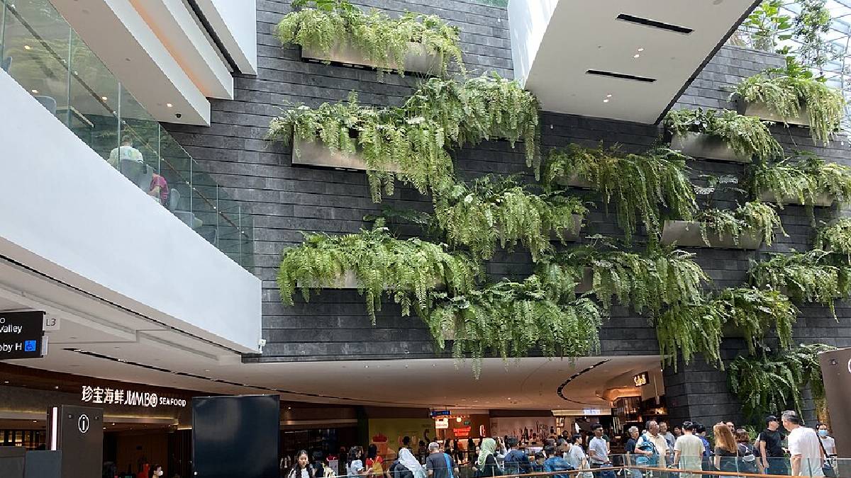 O aeroporto conta com uma "floresta interna" chamada de Forest Valley, além de diversos jardins verticais espalhados pela instalação (Foto: LN9267 / Wikimedia Commons)
