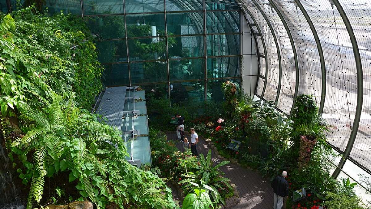 Butterfly Garden, local que permite aos visitantes observar borboletas dentro de um jardim tropical (Foto: Dr. Raju Kasambe / Wikimedia Commons)