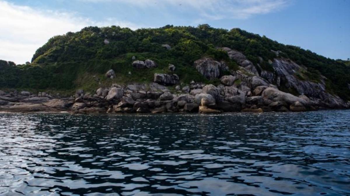 A poucos quilômetros de Itanhaém, ilha impressiona pela aparência inóspita - Marília Ruberti/ comunicação Butantã