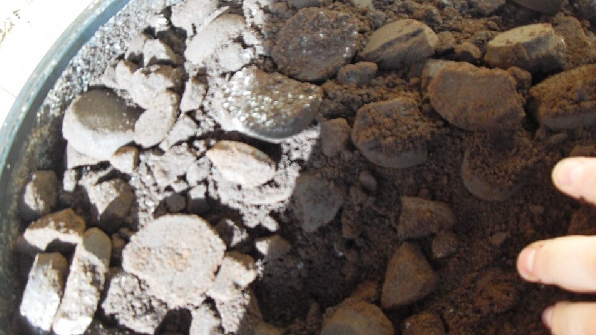 Fora da cozinha, o resíduo de café pode ser utilizado como fertilizante diretamente ou colocado em uma composteira para a geração de adubos mais nutricionalmente ricos (Foto: Shanegenziuk / Wikimedia Commons)