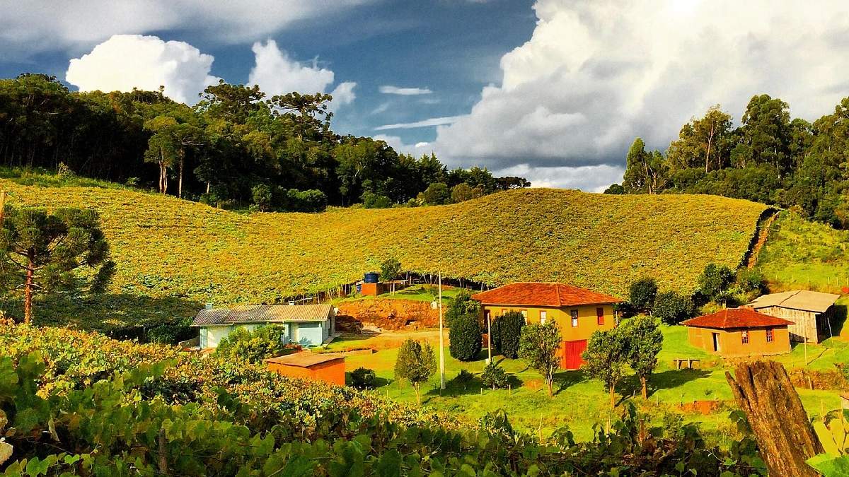 A cidade de cerca de 53,26 km² tem um núcleo urbano, mas também seu anel rural com pesqueiros, fazendas e campos (Foto: Romanini1 / Pixabay)
