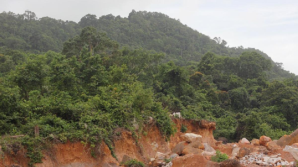 A Área Multiuso de Samlaut (Samlout MUA) éuma área protegida de 60.000 hectares (aproximadamente 599609 km²) nas províncias de Battambang e Pailin, no noroeste do Camboja (Foto: Dmitry Makeev / Wikimedia Commons)