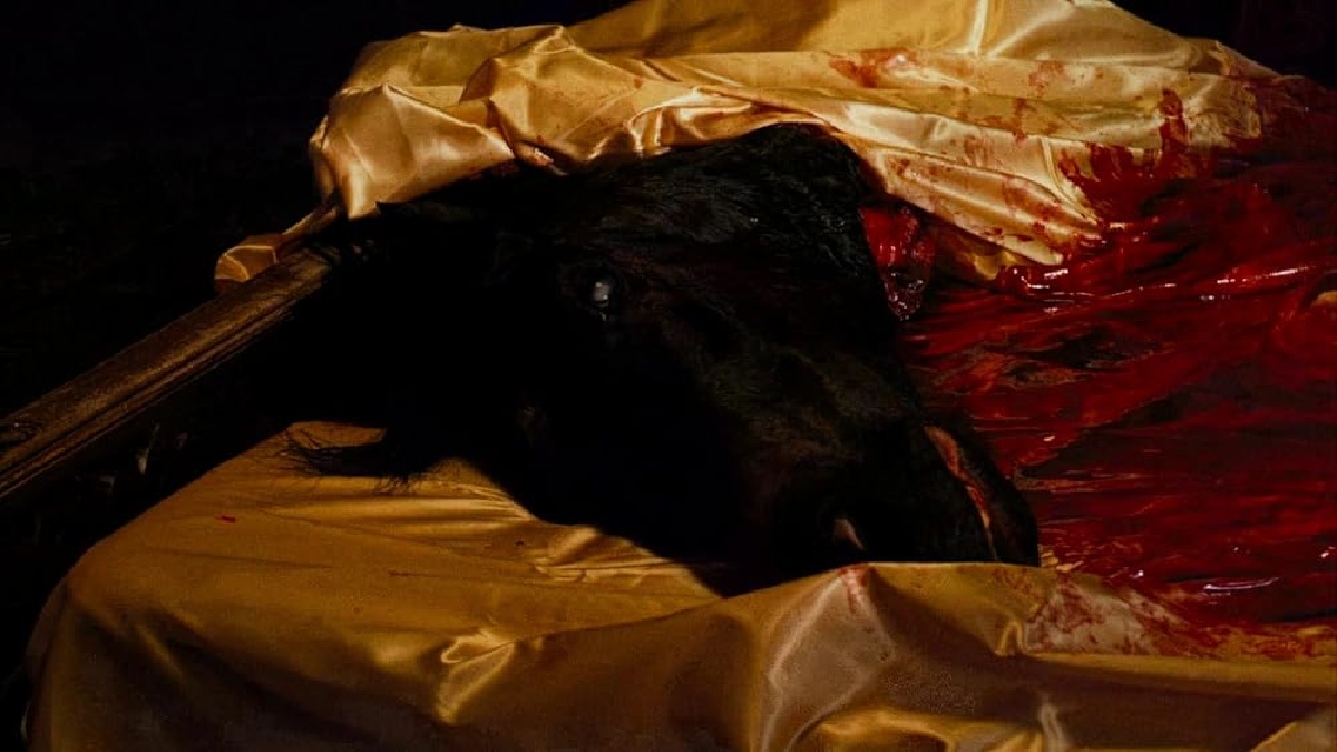 Uma das cenas mais emblemáticas do filme é quando Don Vito Corleone ordena que matem o cavalo de um chefão de Hollywood para incluir seu afilhado, Fontane, em sua nova produção cinematográfica. Segundo o mafioso, essa seria uma 