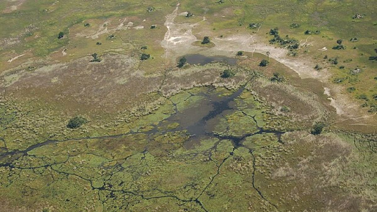 Estudos recentes apontam alguns lugares que poderiam ser o berço primordial da humanidade, desde a Botsuana até o Marrocos, porém, assim como tudo na arqueologia, essas são suposições com base em registros e fósseis (Foto: Joachim Huber)