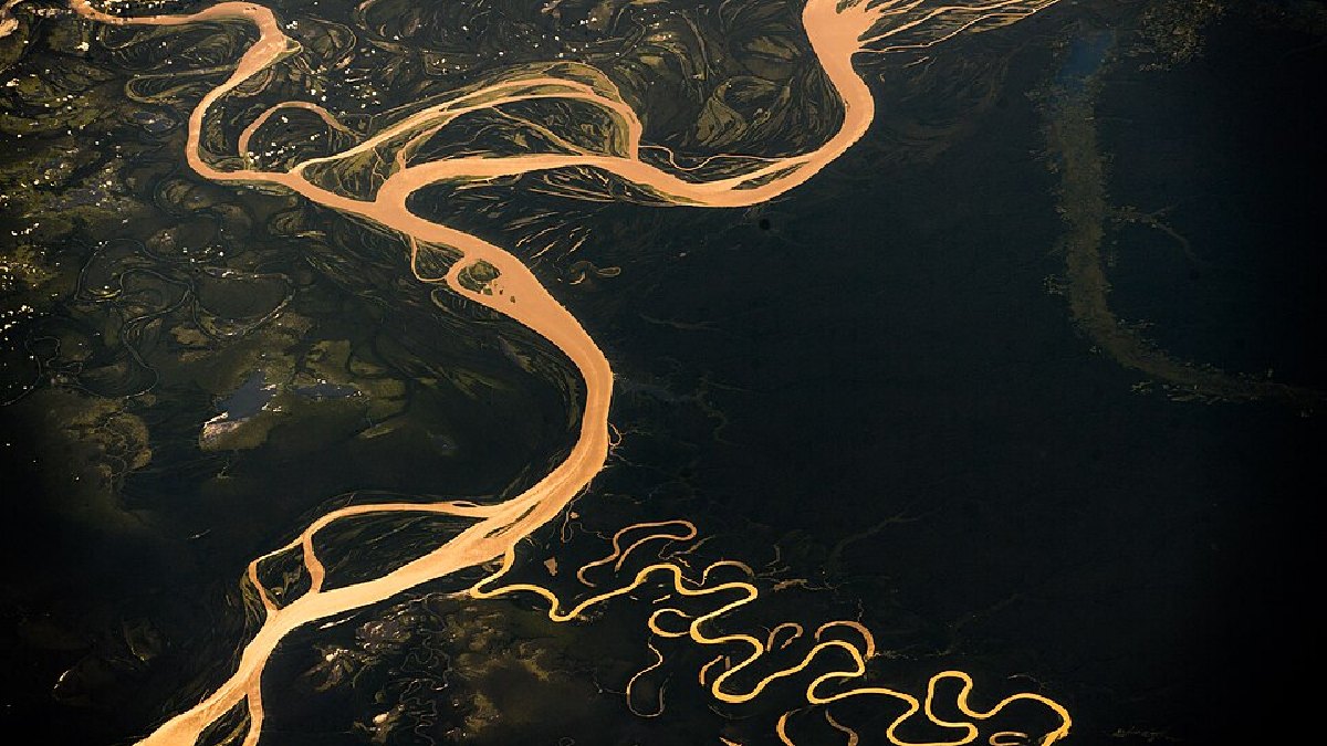 Rio Amazonas visto do espaço (Foto: Flickr / Wikimedia Commons)