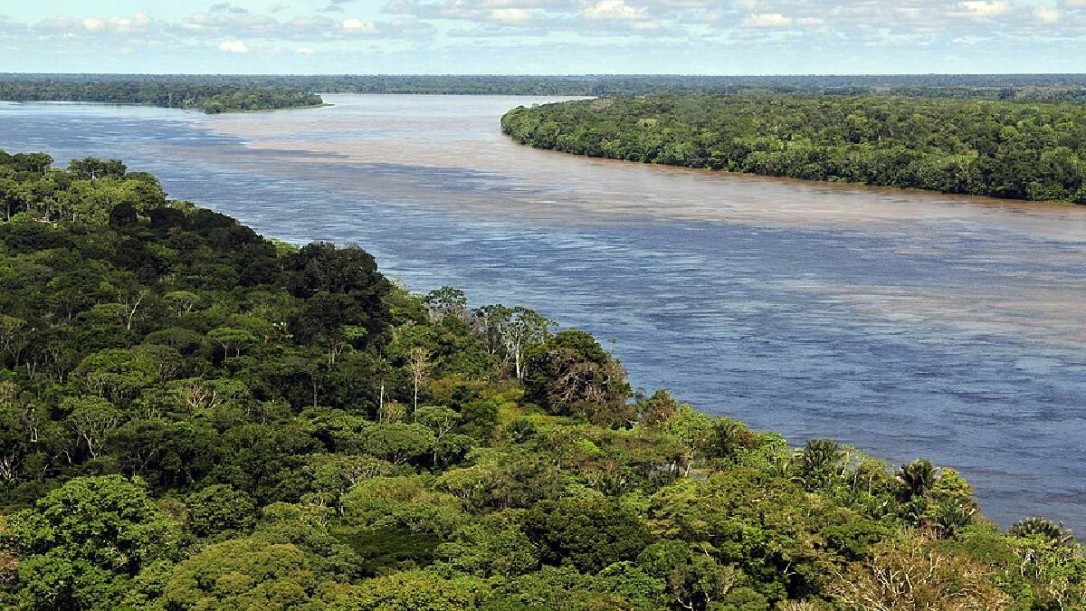 Floresta Amazônica e o Rio Amazonas, Brasil e outros (Foto: Neil Palmer / CIAT)