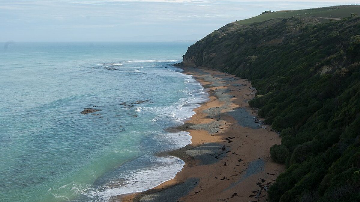 Como um destino na Oceania, a cidade também oferece turismo natural, como a Bushy Beach (Foto: Enrique Fernández / Wikimedia Commons)