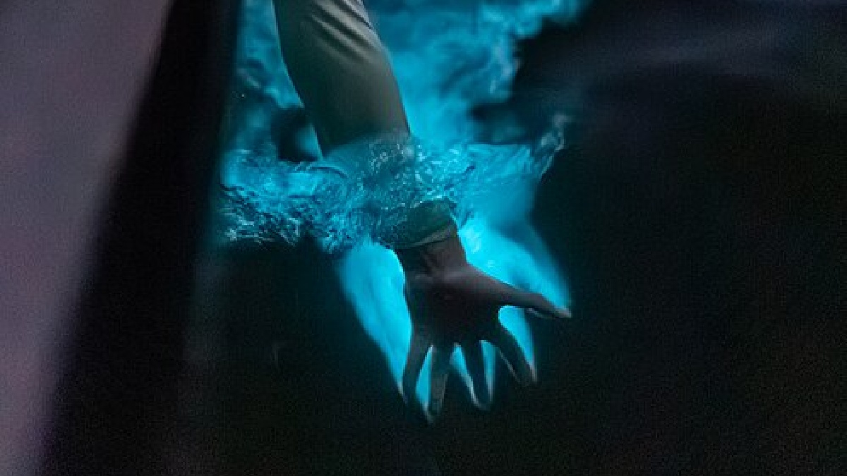 Praia bioluminescente, Porto Rico (Foto: NASA / Milan Loiacono / Wikimedia Commons)