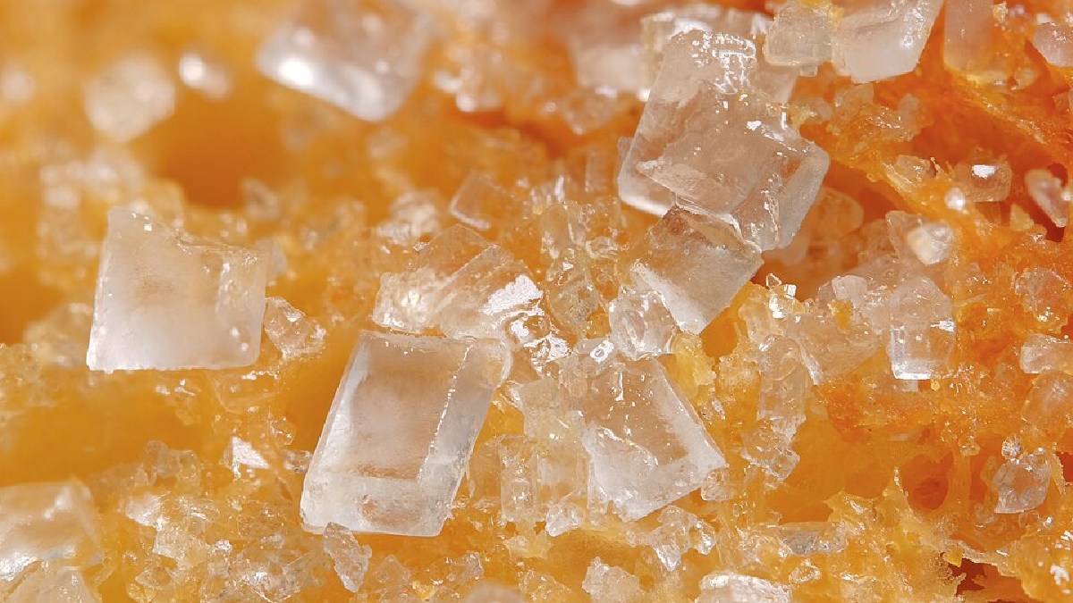 O caso do açúcar não envolve guardar o produto em casa, mas produzir, manter em estoque ou circular açúcar fora de cota autorizada ou em fábrica clandestina (Foto: Masha Milshina / Wikimedia Commons)