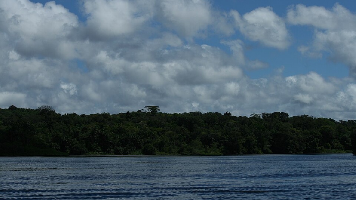 A Margem Equatorial se localiza em uma área de extremo potencial petrolífero que já beneficiou países como a Guiana e a Venezuela (Foto: OBORÉ/Projeto Repórter do Futuro / Wikimedia Commons)
