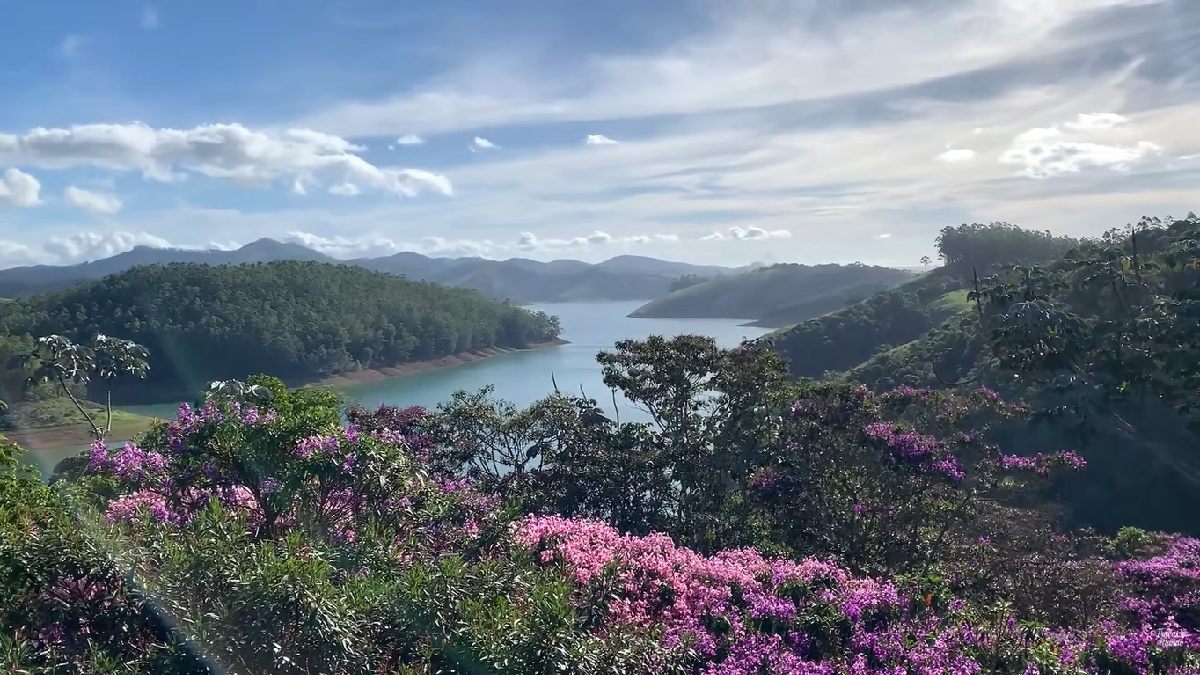 Cidade faz parte da Rota do Cambuci, uma linha de eventos onde produtores dessa fruta nativa comercializam os mais diversos tipos de derivados (Foto: Reprodução / YouTube / Traços do Mundo)