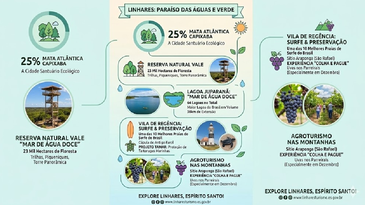 Linhares prova ser um destino completo, onde a grandiosidade da natureza ainda dita o ritmo da viagem - (Ilustração/Gazeta de S.Paulo)